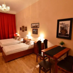 Отель Pension Karlova Стандартный номер фото 10