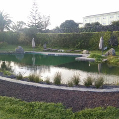 Отель Quinta Do Bom Despacho Понта-Делгада приотельная территория фото 2