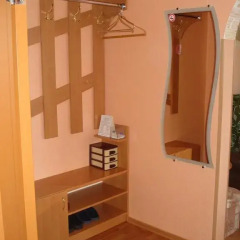 Гостиница Cozy OneBedroom Falt with WiFi удобства в номере