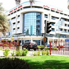 Отель Dubai Palm Дубай фото 6