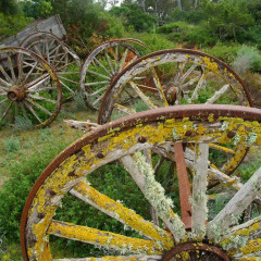 Отель Agroturismo Ses Arenes фото 10