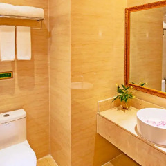 Vienna Hotel(shenzhen Shazui Branch) Шэньчжэнь ванная
