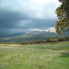 Отель La Jara De Las Villuercas фото 5