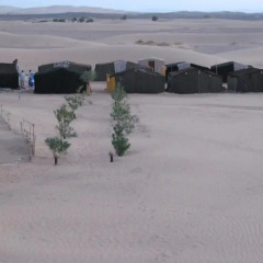 Отель Sandfish Марокко, Мерзуга - отзывы, цены и фото номеров - забронировать отель Sandfish онлайн пляж