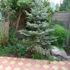 Гостевой дом Вечный Зов Иваново