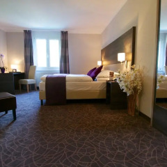 Отель Arion Cityhotel Vienna 4* Стандартный номер с различными типами кроватей
