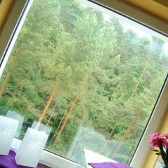 Отель Apartament Forest Hoteliq Сопот удобства в номере