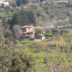 Отель Agriturismo Luce Реггелло фото 2
