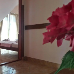 Garni Hotel Koral 3* Люкс с различными типами кроватей фото 2