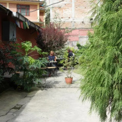 Отель Bodhi Guest House Непал, Катманду - отзывы, цены и фото номеров - забронировать отель Bodhi Guest House онлайн фото 7