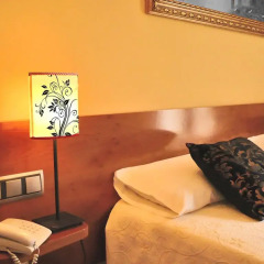 Hotel Plaza Inn 3* Стандартный номер с двуспальной кроватью