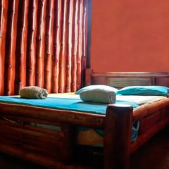 Guacamayo Hostel Pueblo Стандартный номер с различными типами кроватей фото 3