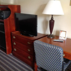 Отель Econo Lodge Vicksburg США, Виксбург - отзывы, цены и фото номеров - забронировать отель Econo Lodge Vicksburg онлайн удобства в номере фото 2