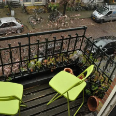 Отель B&B bij de Amstel Нидерланды, Амстердам - отзывы, цены и фото номеров - забронировать отель B&B bij de Amstel онлайн