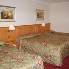 Viking Hotel 3* Стандартный номер фото 4