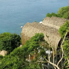 Отель Thipwimarn Resort Koh Tao 3* Стандартный номер с различными типами кроватей фото 13