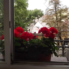 Отель B&B Florens балкон