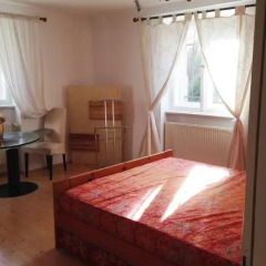 Отель Ferienwohnung Weintraube Германия, Дрезден - отзывы, цены и фото номеров - забронировать отель Ferienwohnung Weintraube онлайн комната для гостей фото 2