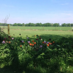 Отель Boerderij het Stroomdal спортивное сооружение