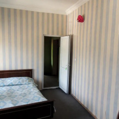 Отель Hostel Peace Грузия, Тбилиси - отзывы, цены и фото номеров - забронировать отель Hostel Peace онлайн комната для гостей фото 5