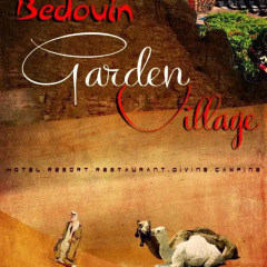 Отель Bedouin Garden Village городской автобус