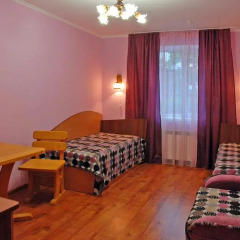 Гостиница Тарас Бульба Стандартный номер разные типы кроватей фото 2