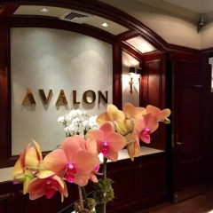 Avalon Hotel 4* Стандартный семейный номер с двуспальной кроватью фото 4