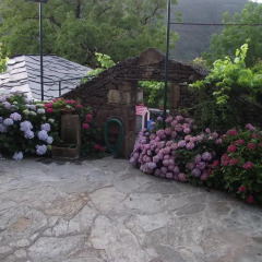 Отель Casa Da Nogueira Амаранте фото 2