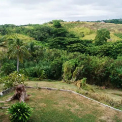 Отель Anchorage Beach Resort Фиджи, Вити-Леву - отзывы, цены и фото номеров - забронировать отель Anchorage Beach Resort онлайн фото 4