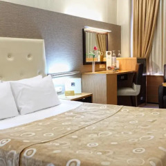 Surmeli Ankara Hotel 5* Стандартный номер разные типы кроватей фото 2