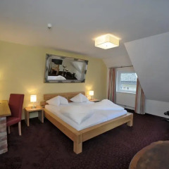 Hotel Goldener Löwe 3* Люкс с различными типами кроватей фото 2
