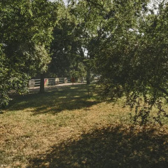 Отель Casa Vacanze Patrizia Бернальда фото 4