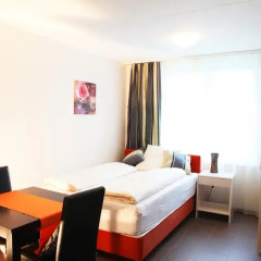 Отель City Appartements Binzmühlestrasse Студия с различными типами кроватей фото 3