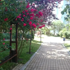 Отель Yassen Holiday Village Солнечный берег фото 2