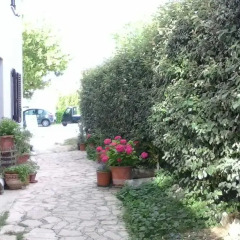 Отель B&B Le Rondinelle Сполето фото 8