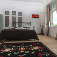 Отель Butterfly Home Danube 3* Номер Делюкс с различными типами кроватей фото 15