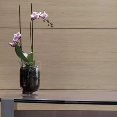 Hotel Olympia Thessaloniki в номере фото 2