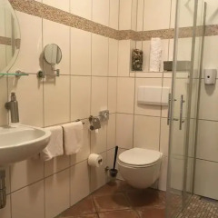 Hotel Farchauer Mühle 3* Стандартный номер с различными типами кроватей фото 3
