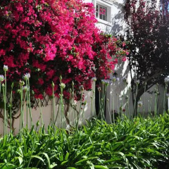 Отель Villa Joaninha Португалия, Портимао - отзывы, цены и фото номеров - забронировать отель Villa Joaninha онлайн