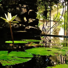 Отель French Lotus Unawatuna Guest House Унаватуна спортивное сооружение