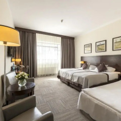 Europeum Hotel 3* Стандартный номер с двуспальной кроватью фото 15