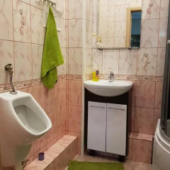 Гостиница Хостел Дом у Набережной в Тюмени отзывы, цены и фото номеров - забронировать гостиницу Хостел Дом у Набережной онлайн Тюмень ванная