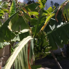 Отель 3C Fuerteventura