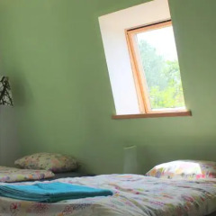 Отель Beltes Street Guest House комната для гостей фото 3