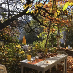 Апартаменты Garden Studio Apartment Zürichberg питание