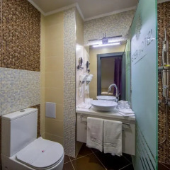 Aster Hotel Group 3* Стандартный номер с различными типами кроватей фото 5