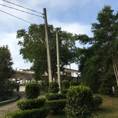 Отель OwinRich Resort Шри-Ланка, Бандаравела - отзывы, цены и фото номеров - забронировать отель OwinRich Resort онлайн детские мероприятия