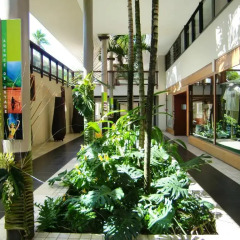 Отель Tahiti Pearl Beach Resort Французская Полинезия, Аруе - отзывы, цены и фото номеров - забронировать отель Tahiti Pearl Beach Resort онлайн интерьер отеля