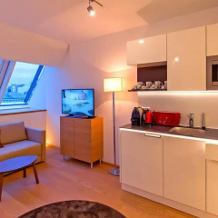 Апартаменты Wienwert Apartments Getreidemarkt Улучшенная студия с различными типами кроватей фото 17