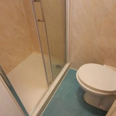 Отель Llanryan Guest House ванная